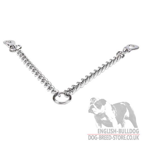 Double Dog Lead for Bulldogs UK