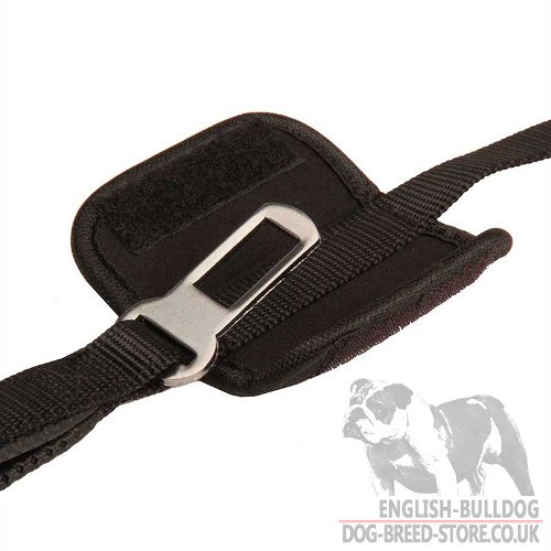 Dog Car Leash