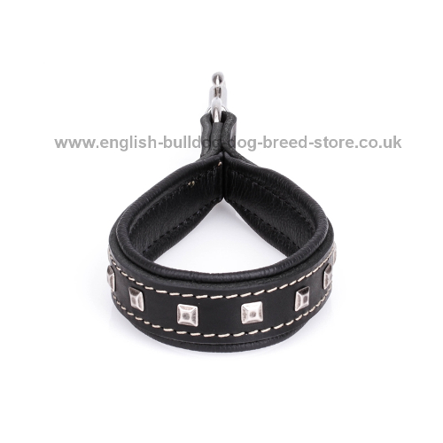 Dog Collars and Leads