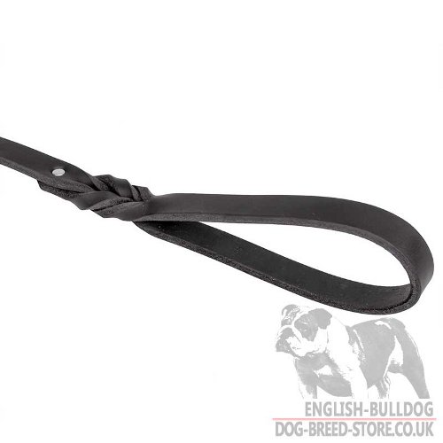 Dog Leash Easy Walk