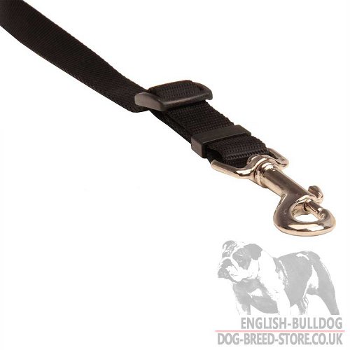 Dog Leash Car Buckle