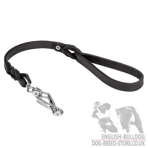 Dog Leash Easy Walker