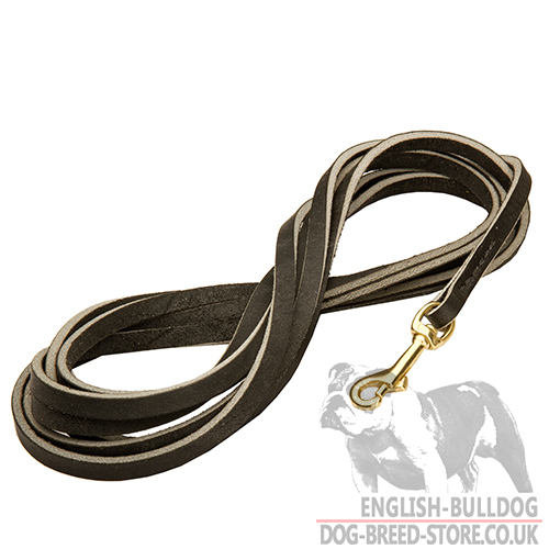 Long Leather Dog Leash UK