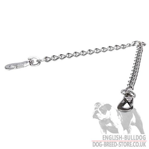 Double Dog Leash UK for Bulldogs