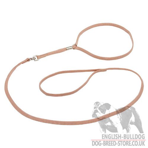 English Bulldog Collars and Leashes