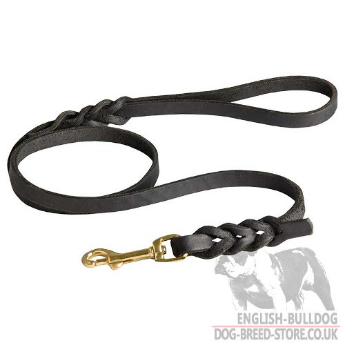 Boston Terrier Leash