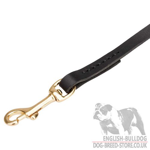 Bulldog Leash UK