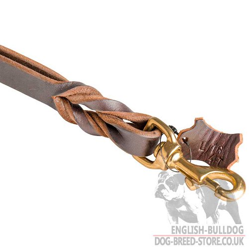 English Bulldog Leash UK