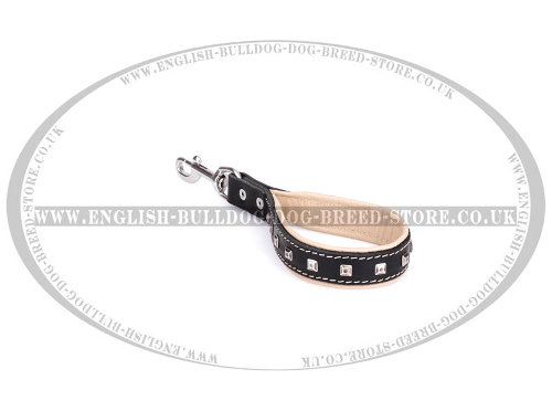 Leash for English Bulldog