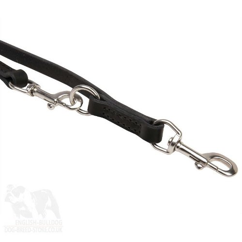 Leash for English Bulldog