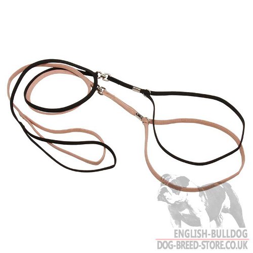 English Bulldog Collar and Lead
