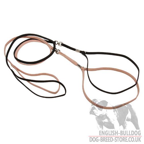 Nylon Dog Collar Lead Sets