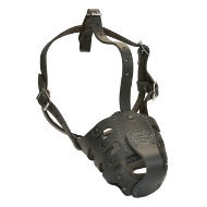 Dog Muzzle for American Bulldog Training and Walking of Leather