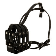 Dog Muzzle for Boston Terrier of Leather for Everyday Usage Dog Muzzle for Boston Terrier of Leather for Everyday Usage