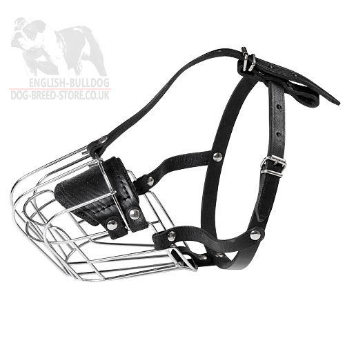 Basket Dog Muzzle