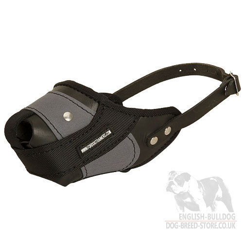 Dog Muzzle UK