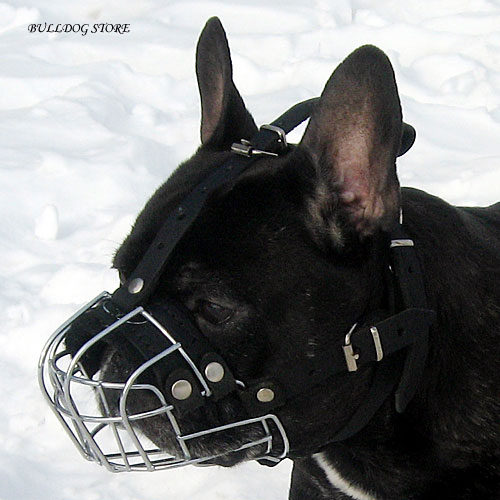 French Bulldog Muzzle UK