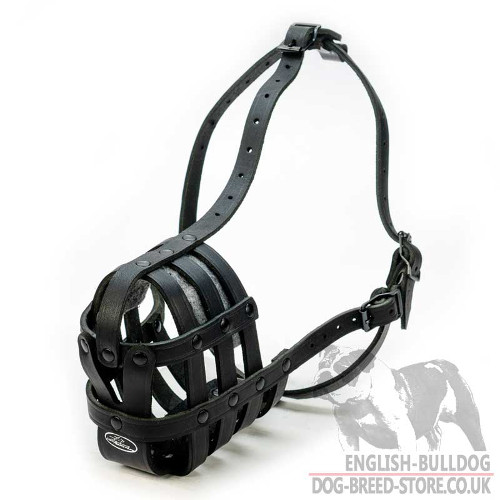 American Bulldog Muzzle UK