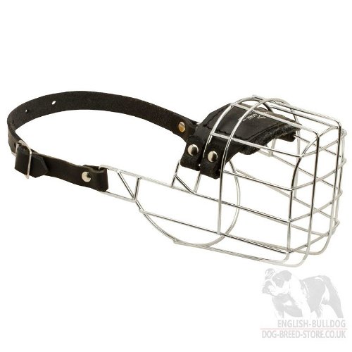 American Bulldog Muzzle UK