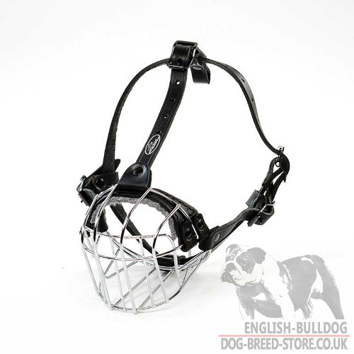 French Bulldog Muzzle UK