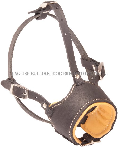 Bulldog Muzzles UK