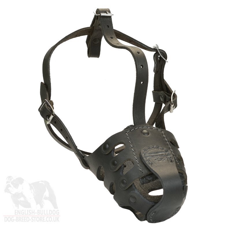 Dog Muzzle for American Bulldog Training and Walking - £42.90