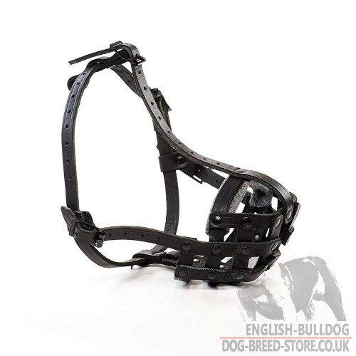 Best Muzzle for French Bulldog UK