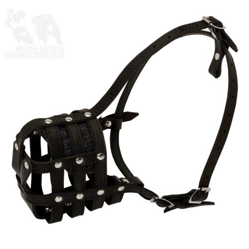 Best Muzzle for Bullmastiff