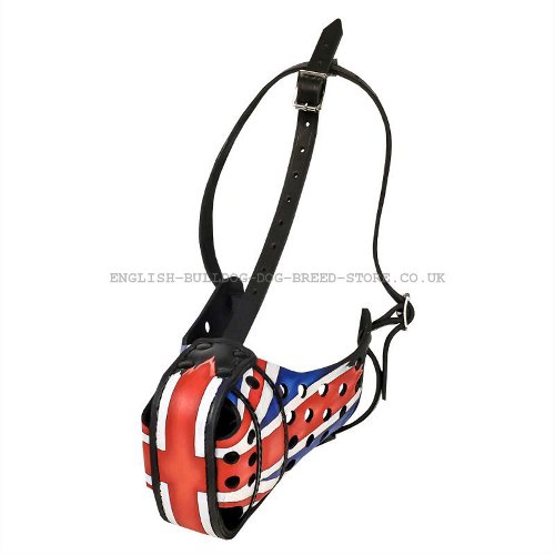 Muzzle for American Bulldog UK