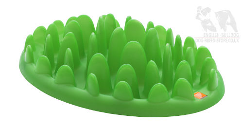 Green Interactive Dog Feeder