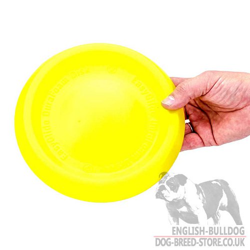 American Bulldog Frisbee