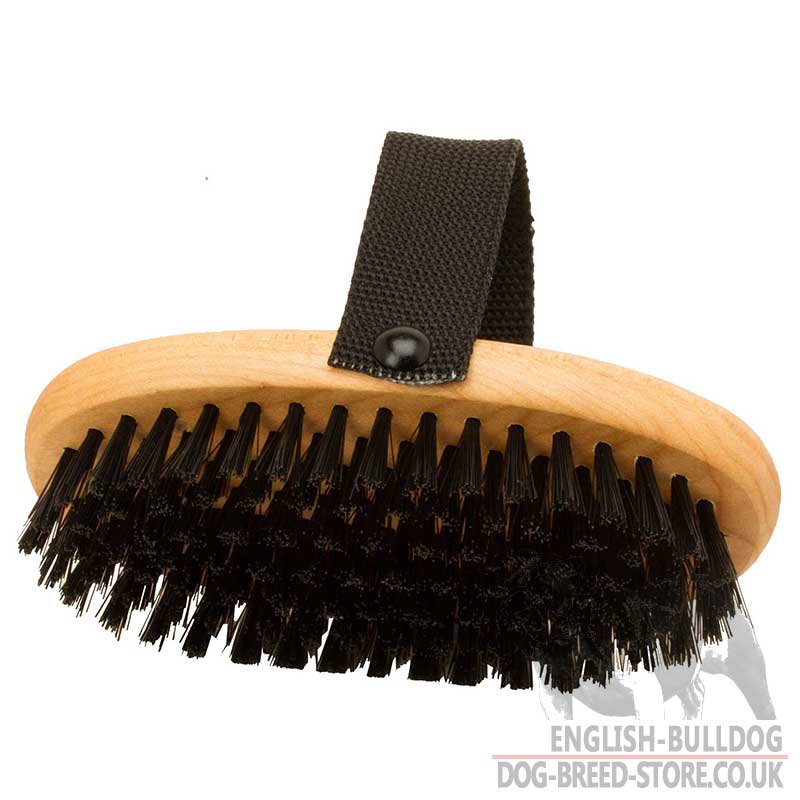 best dog brush for french bulldogs