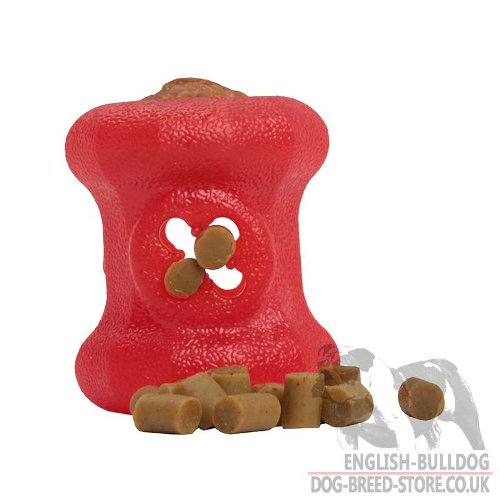 Chew and Dental Dog Toy