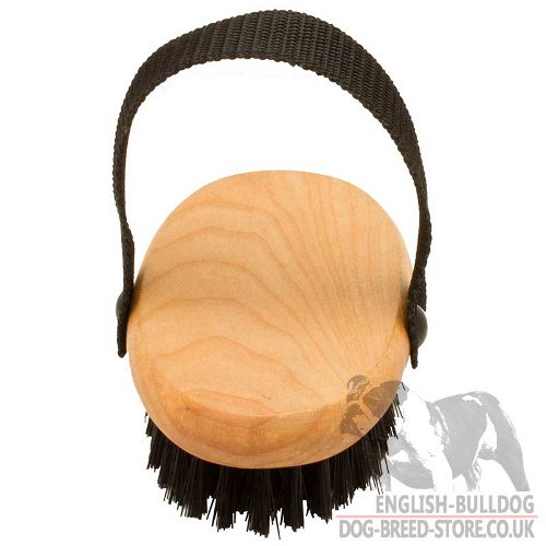 Best Grooming Brush for Bulldogs