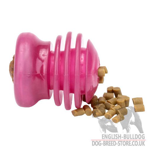 Bulldog Chew Toy UK