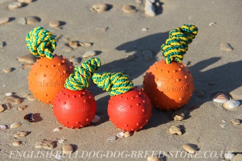 Bulldog Dog Toys