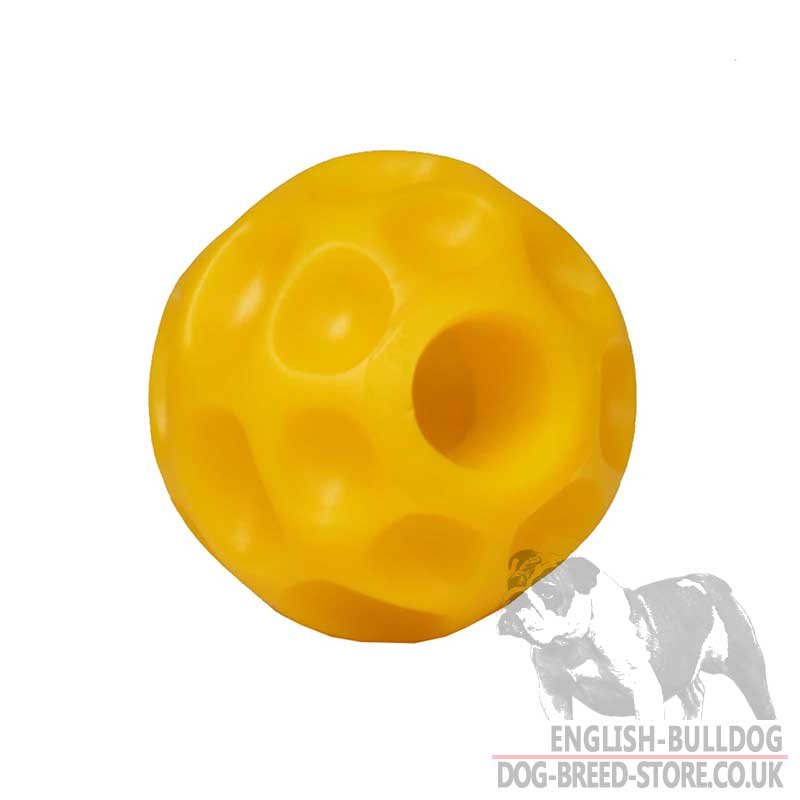 dog feeding ball