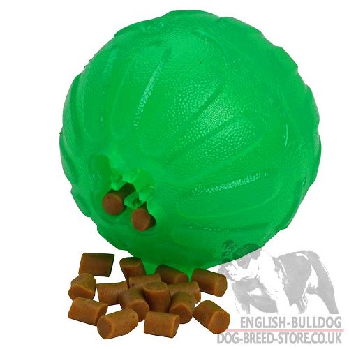 Dog Ball Treat Dispenser