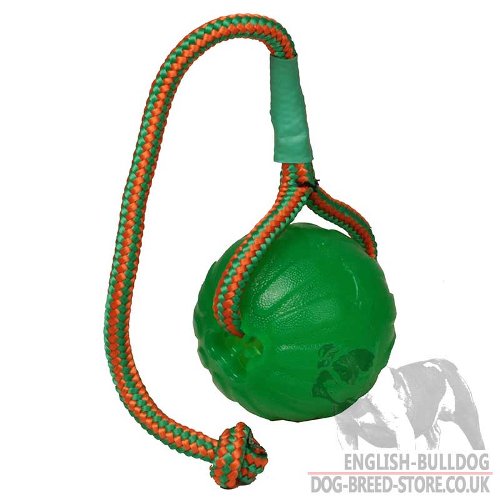 English Bulldog Toys - Fetch Dog Ball