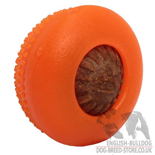 English Bulldog Dog Toys