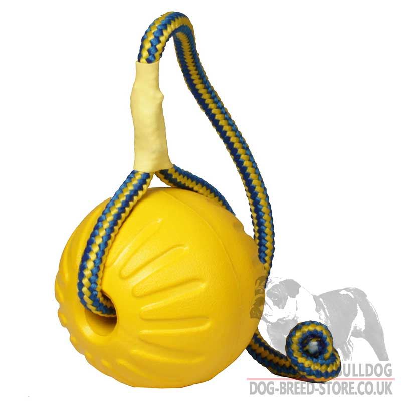 Entertaining Dog Toys Uk Entertaining Dog Toys Uk