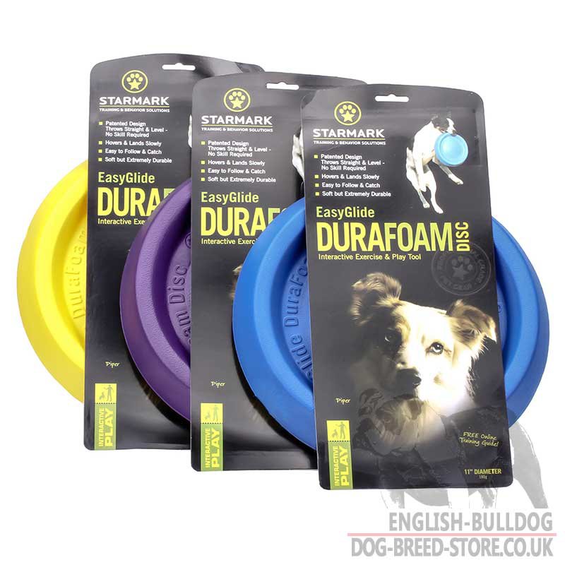 Dog Training Discs How To Use Dog Training Discs How To Use