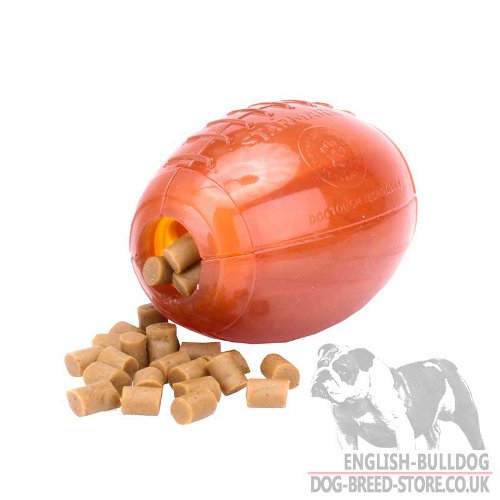 Dog Treat Rugby Ball for Bulldog £23.50