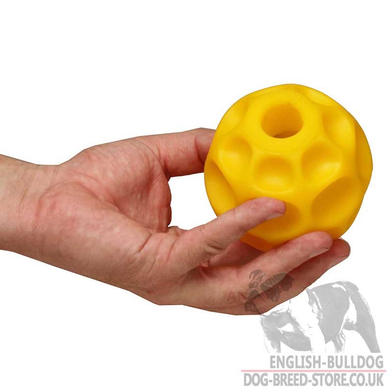 Dog Food Feeder Ball by Starmark for English Bulldog