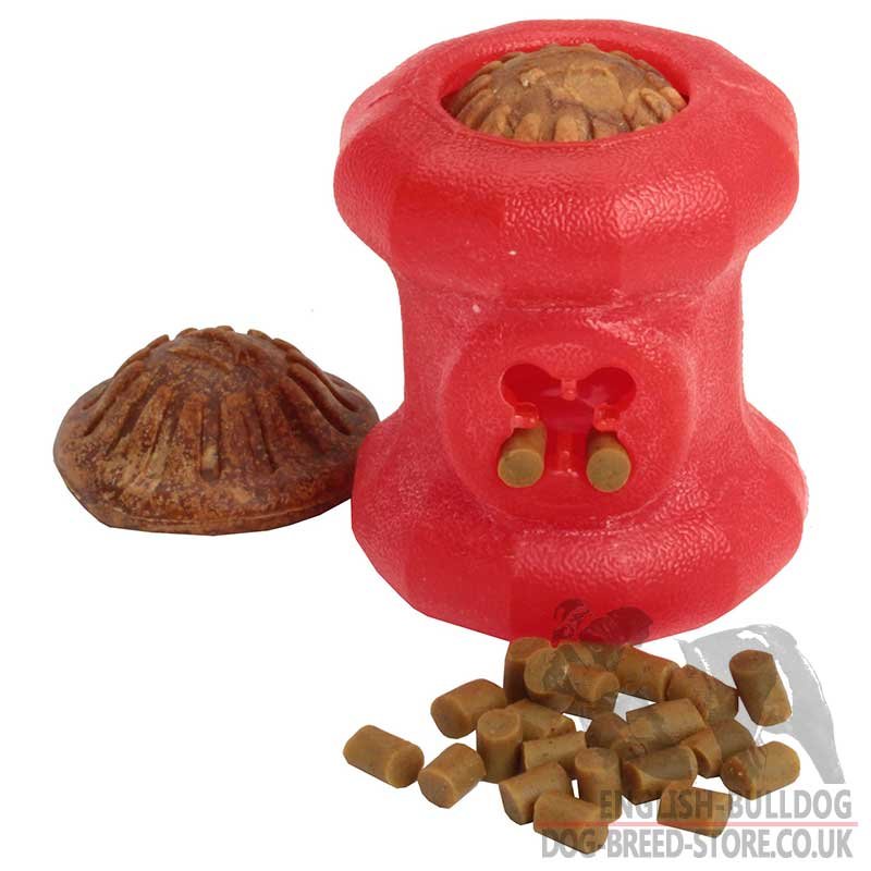dog chew toy with treats inside