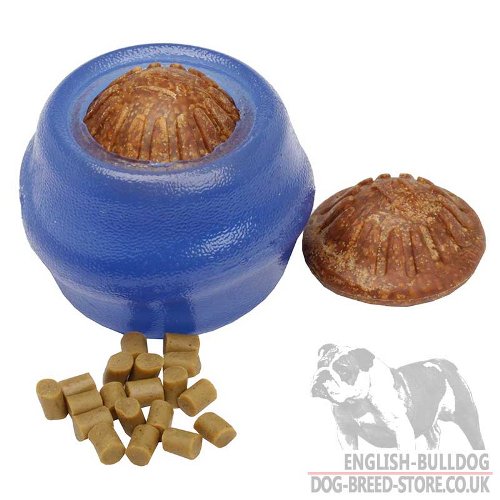 English Bulldog Favourite Toys