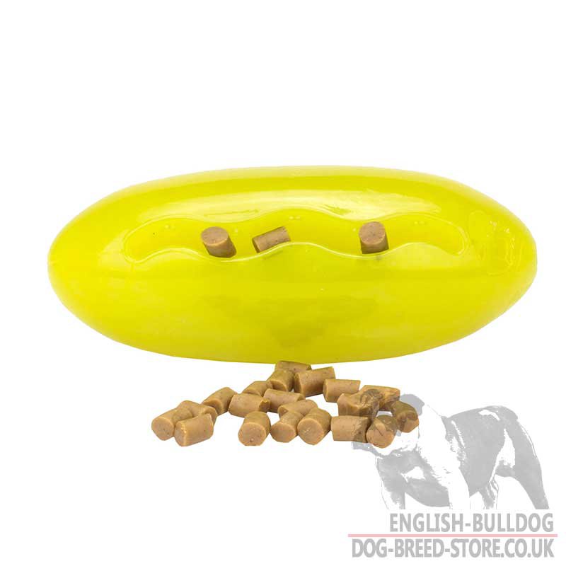 Best English Bulldog Chew Toy £24.00