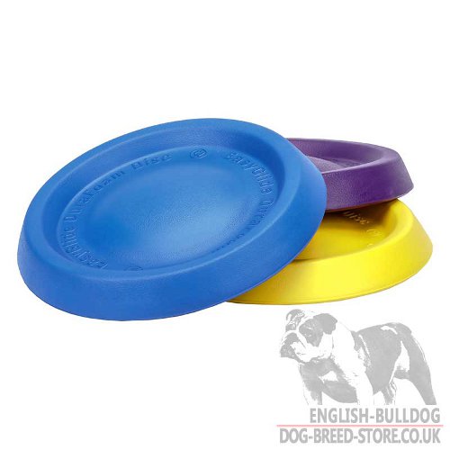 Dog Frisbee Disc