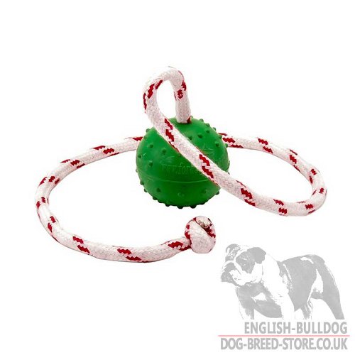 English Bulldog Toys Best