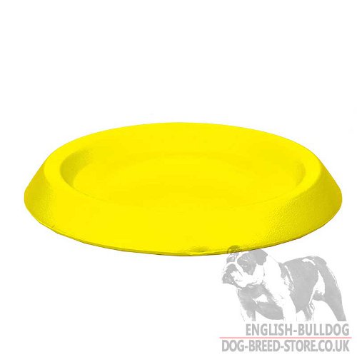 French Bulldog Frisbee